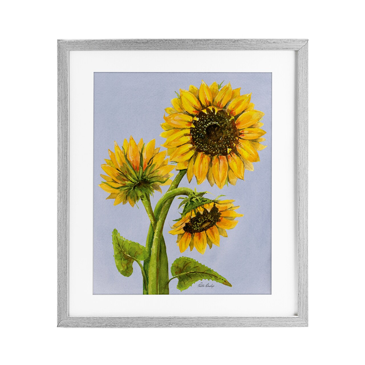 Stupell Industries Sunflower Trio Against Blue Framed Print Under Glass, design by Patti Bishop